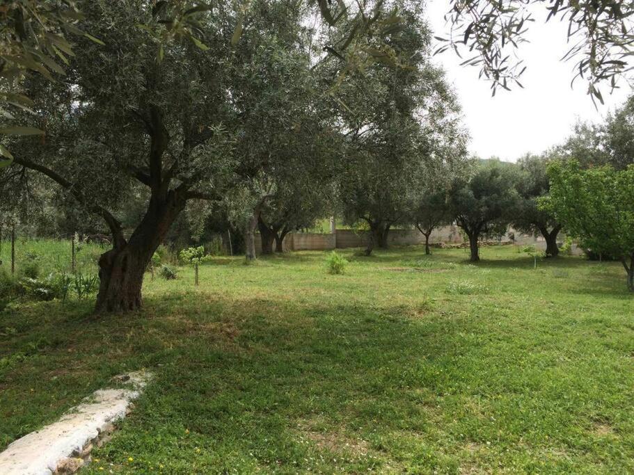 Panoramic View Summerhouse Loukissia Екстериор снимка
