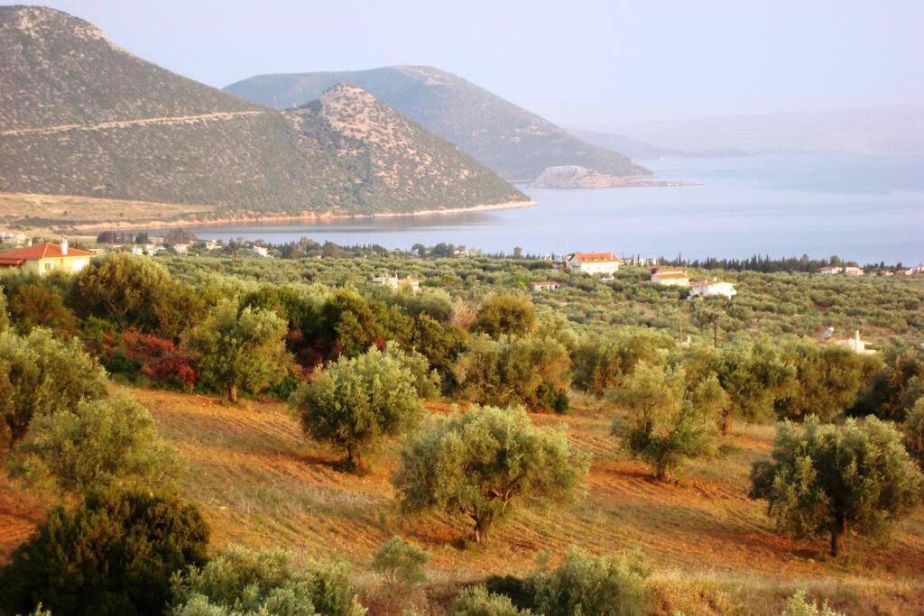 Panoramic View Summerhouse Loukissia Екстериор снимка